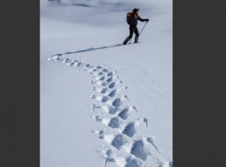雪鞋小径